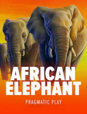 African Elephant™